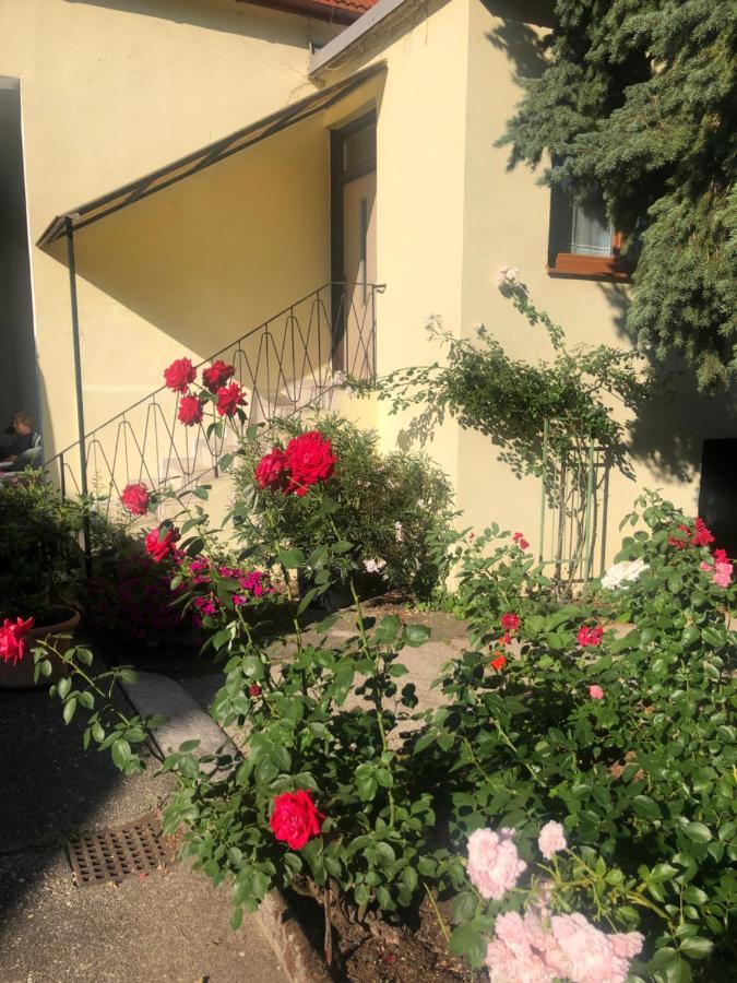 Das Kleine Haus Breitenbrunn  Eksteriør billede